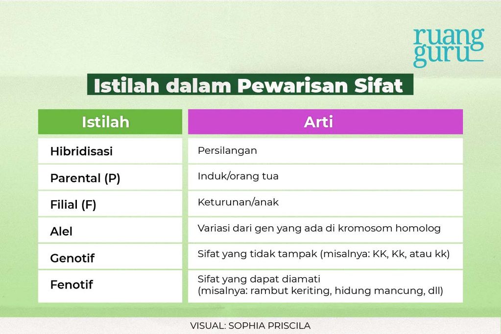 Mengenal Hukum Mendel Tentang Pewarisan Sifat Makhluk Hidup | Biologi ...